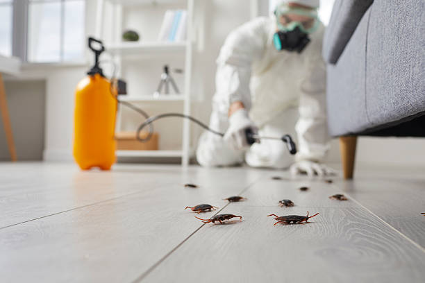 Commercial Kitchen Cockroach Control in Oglesby